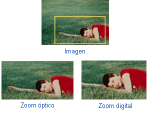Comparacion del efecto del zoom optico y del zoom digital sobre una misma imagen
